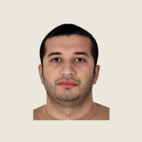 Anar Malikoğlunun portreti